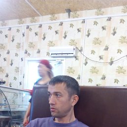 , 42, 