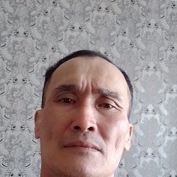  , 51, 