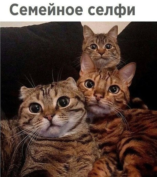 ? ,  ! - 18  2024  15:33