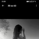   , , 41  -  8  2025