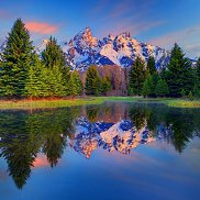 �����, 51 ���, �����