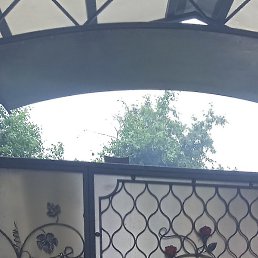 ������, �������, 64 ����