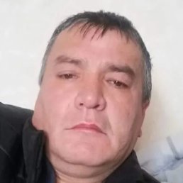 �����, ���������, 46 ���