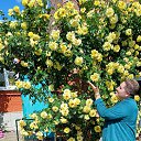 ���� �������, ����, 39 ��� - ��������� 27 ��� 2024 � ������ ���� ����������