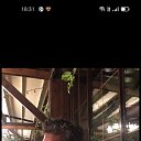 ���� Bülentttt, �������, 48 ��� - ��������� 10 ������ 2025 � ������ ������ ��������