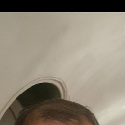 , 41, 