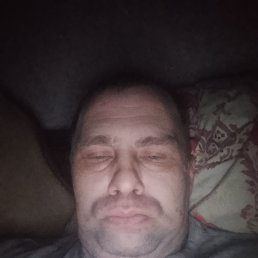 ������� �����������, 37 ���, ������ �����