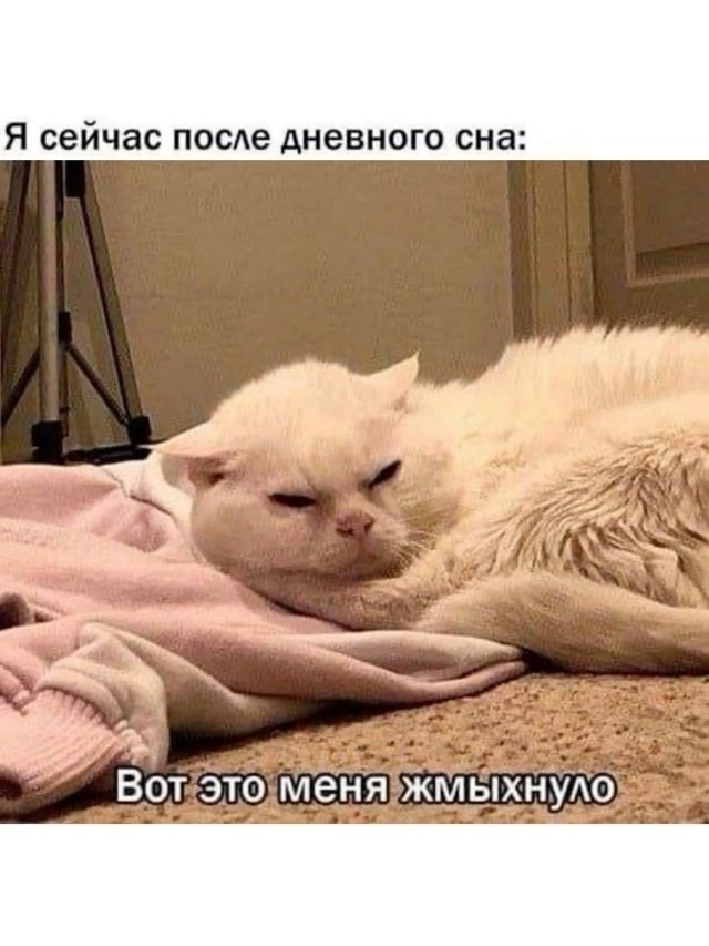 ������. - 27 ���� 2025 � 07:26 - 2