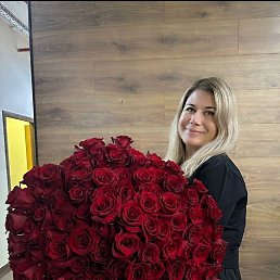 ���� �����, ������������ - ��������� 28 ����� 2026