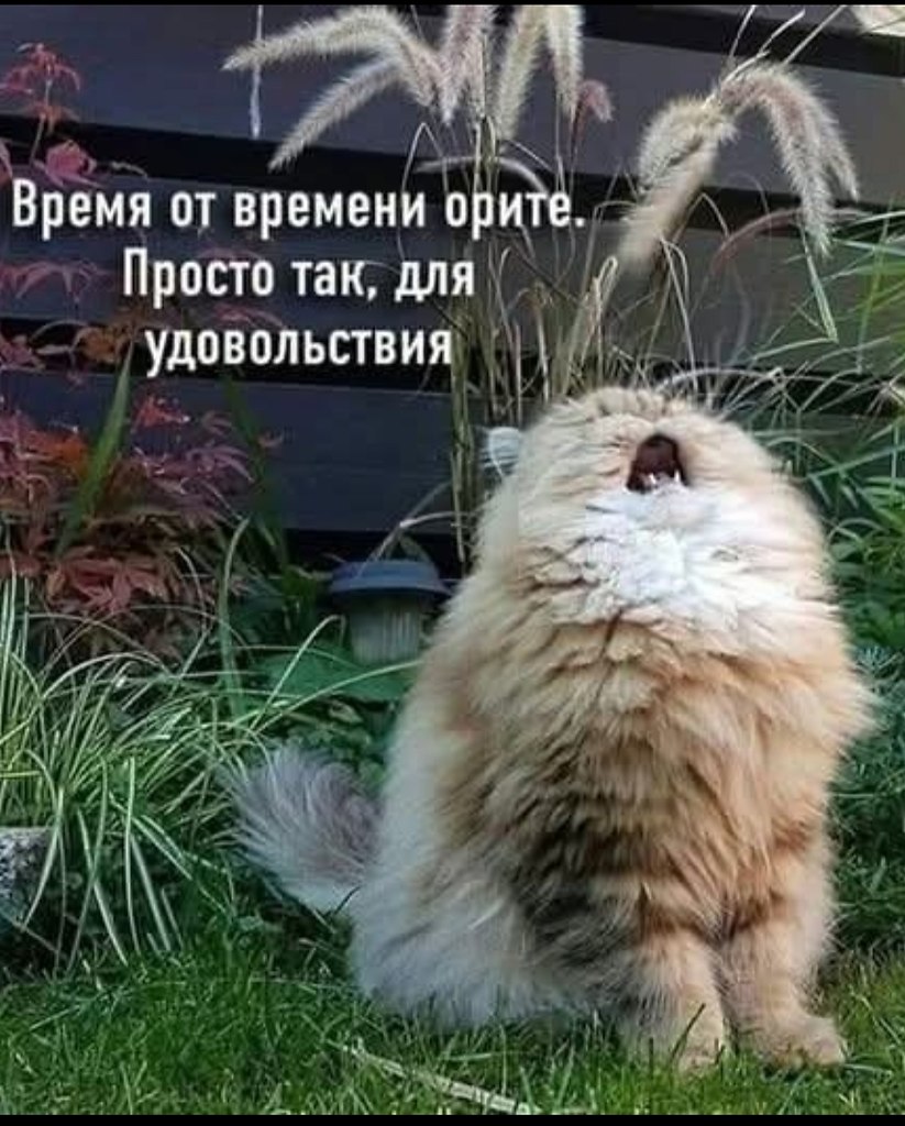 ПреЛЮДИи чувств - 16 октября 2025 в 00:16