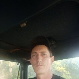 ���������, 34 ����, �������