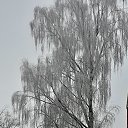���� �����, ������, 53 ���� - ��������� 25 ������ 2025 � ������ ���� ����������