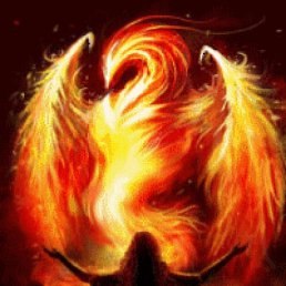 ����, ������, 53 ����