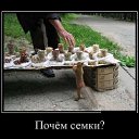���� ���������, �������, 52 ���� - ��������� 10 ���� 2026 � ������ ������ ��������