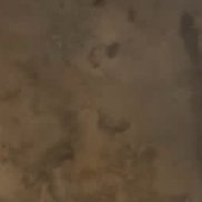 ����, 20 ���, ������