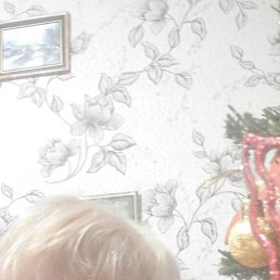 ������, ��������, 67 ���