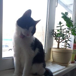 ���� �����, ���������, 50 ��� - ��������� 6 ������� 2024