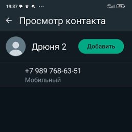 ���� ������, ���������, 49 ��� - ��������� 13 ������� 2024