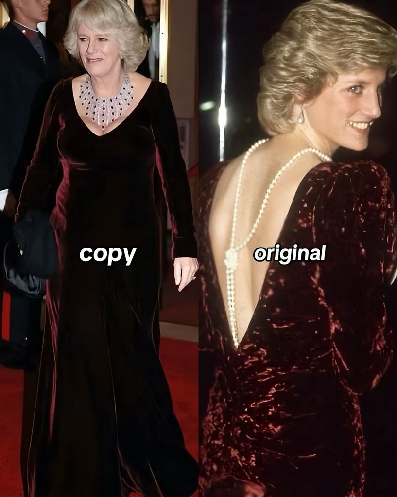 ��a ���a ���ec�o�. �o��ac��? ����� ������� - 7