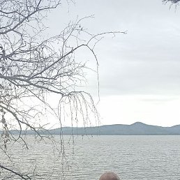 �������, ���������, 51 ���