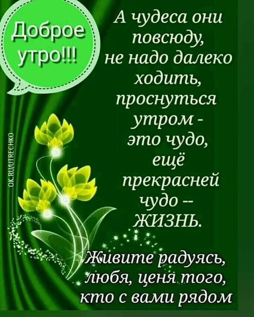 ***Victoria Viktorovna*** - 17  2024  04:53