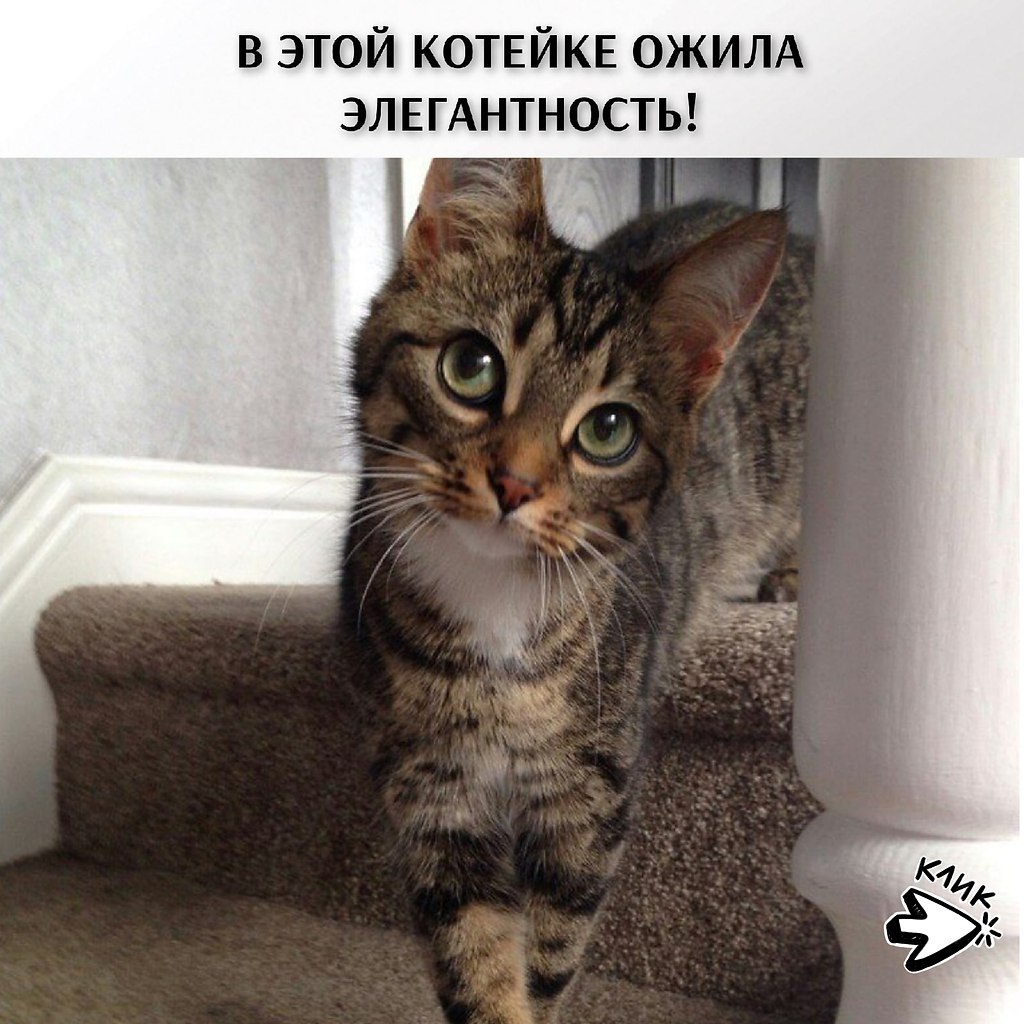 ��� ���� � ����� �� �� - 22 ������� 2026 � 17:30