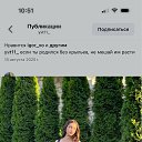 ���� ������, �������, 22 ���� - ��������� 8 ���� 2026 � ������ ���� ����������
