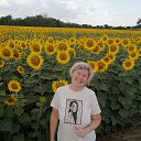 ���� ������, ������, 50 ��� - ��������� 25 ������ 2024 � ������ ���� ����������