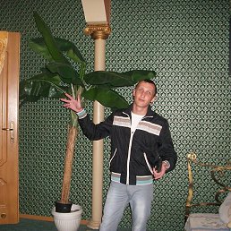 ���������, ������, 33 ����