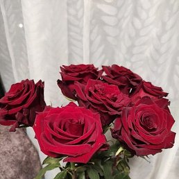 ���������, ������, 32 ����