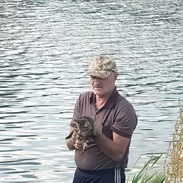 ���� �����, ������, 50 ��� - ��������� 3 ������� 2026