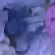 ����, 56 ���, ������