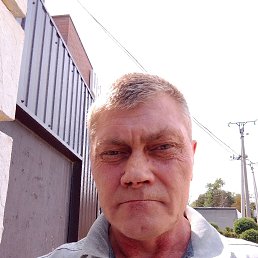 , 49 , --