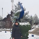 ���� ��������, ����, 37 ��� - ��������� 15 ������� 2025 � ������ ���� ����������