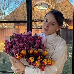 , 29, 