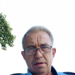 , 55, 
