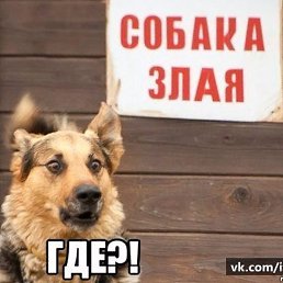 ������, ������, 25 ���