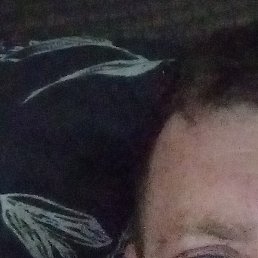 �������, �����, 49 ���