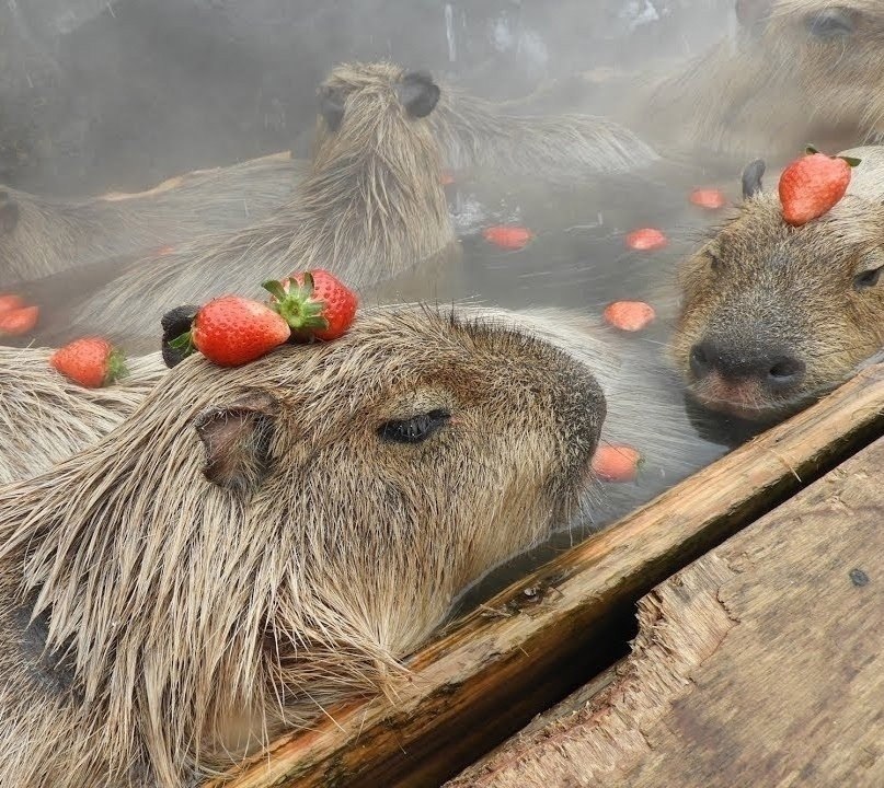  :   ,        ... - 2