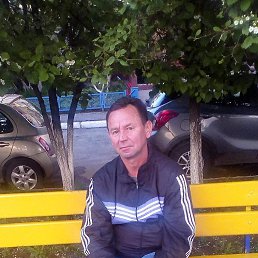 , 51, 