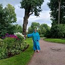  ,  -  5  2025       ,    ,     .