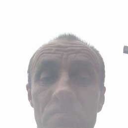 , 42, 