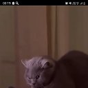 ���� ������, �����-���������, 53 ���� - ��������� 9 ������ 2025 � ������ ������