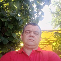 , 50, 