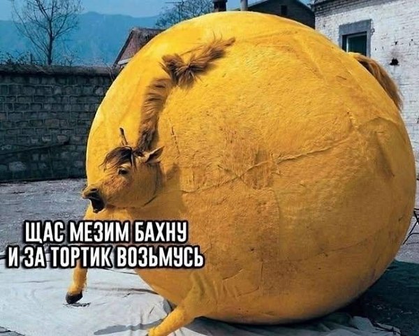 ���� ��� ���� - 5 ������ 2026 � 00:23