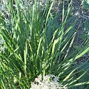 ���� ������, ������, 55 ��� - ��������� 30 �������� 2025