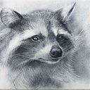 ���� ��������, ������, 48 ��� - ��������� 28 ������ 2024 � ������ ���� ����������