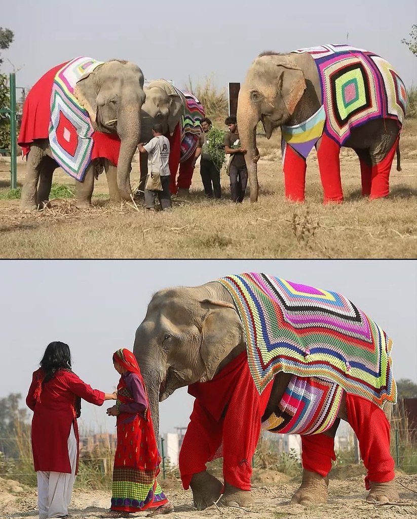 � ��������� ������� ����� ������ � ����� ��������� ��������, ������� ��� ��� ������� ������� ������. ... - 2