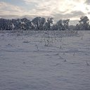 ���� �����, ���������, 39 ��� - ��������� 27 ������� 2024 � ������ ������������