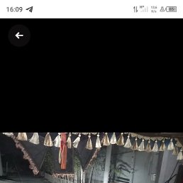 ����, �������, 38 ���